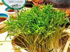 -阳坊胜利涮羊肉(阳坊总店)