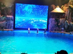 -芜湖新华联大白鲸海洋公园