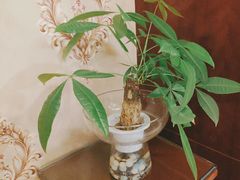 -小八仙·宴(三峡茶庄店)