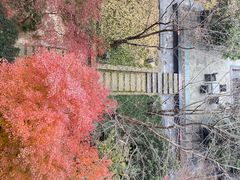 -同里湖度假村(二期店)