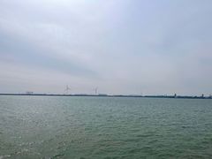 -东疆建设开发纪念公园