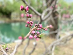 -颐和园