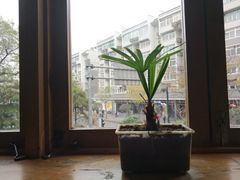 -雕刻时光咖啡馆(南院门店)