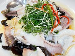 -渔意如意·首创金鲷顺德鱼生