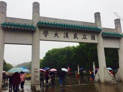 -武汉大学-樱园