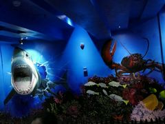 -船奇蒸汽海鲜·闽菜(八市海鲜总店)