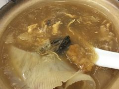 招牌花胶大只翅-添發碗仔翅美食