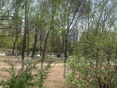 -长白岛森林公园