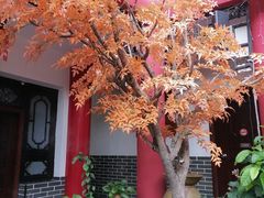 -文君楼美食·庭院酒店(宽窄巷子地铁站店)