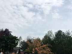 -大雁塔北广场音乐喷泉