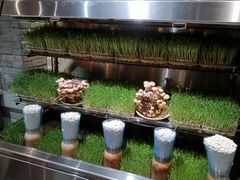 -蜀大侠火锅(四川北路店)