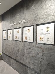 -大树儿童摄影