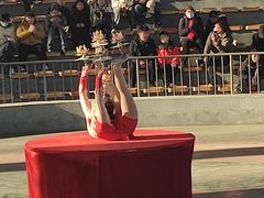 -辛玛王国游乐园