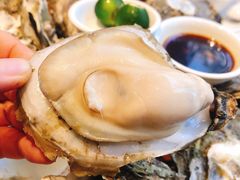 -蚝美人·生蚝海鲜烧烤(茶花园店)