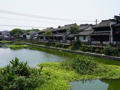 -紫薇冷饮(海宁盐官宣德路店)