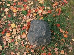 -苏州河梦清园环保主题公园