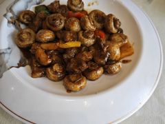 -有腥气私房菜·寻味顺德