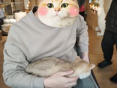 -猫腻·猫咖·撸猫馆(星光大道店)