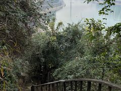 -重庆平顶山公园