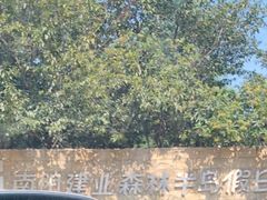 -南阳建业森林半岛假日酒店