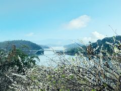 -广州市流溪河国家森林公园