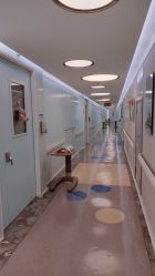 -杭州贝瑞斯美华妇儿医院·早孕·产检·儿科