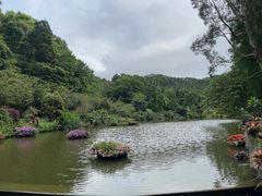 -深圳仙湖植物园