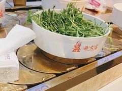 -西火火·川派小火锅(西溪银泰店)