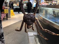 -盒马鲜生(莱蒙都会店)