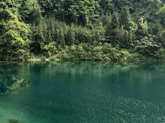 -西岭雪山大飞水景区