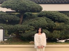 -盆景园(扬州大运河文化旅游度假区)