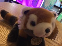 -PAWTOY爪e玩偶店(天兴罗斯福店)