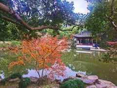 -汇龙潭