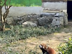 -柳州市动物园
