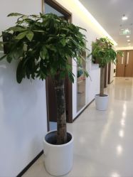 体验后-丰联丽格医疗美容·联合丽格眼整形中心
