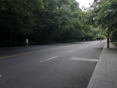 -西湖外事游船(花港观鱼码头)