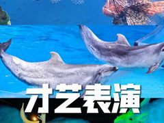 -海合安武汉极地海洋公园