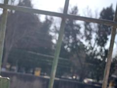 -保定市动物园