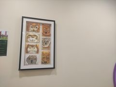 -上海民办包玉刚实验学校(小学部)