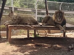 -昆明动物园
