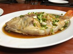 -绿光森林餐厅