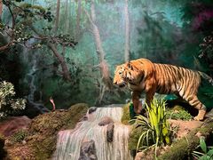 -武汉园博园(武汉自然博物馆)