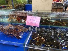 水产区-东江海鲜酒家(艺都分店)