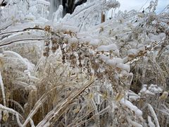 -大平台龙居瀑布旅游区