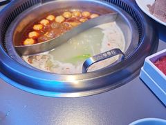 -季季红火锅(动壹店)