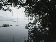 -大埔公路-马料水段香港中文大学(公交站)