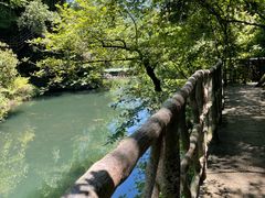 -石台牯牛降景区