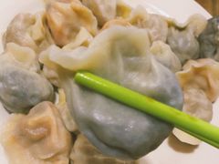 茄子皮馅饺子-宝源饺子(麦子店街店)