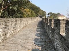 -黄贤森林公园