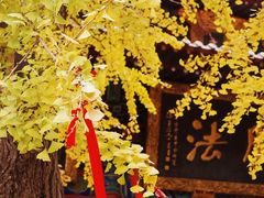 -宝通禅寺